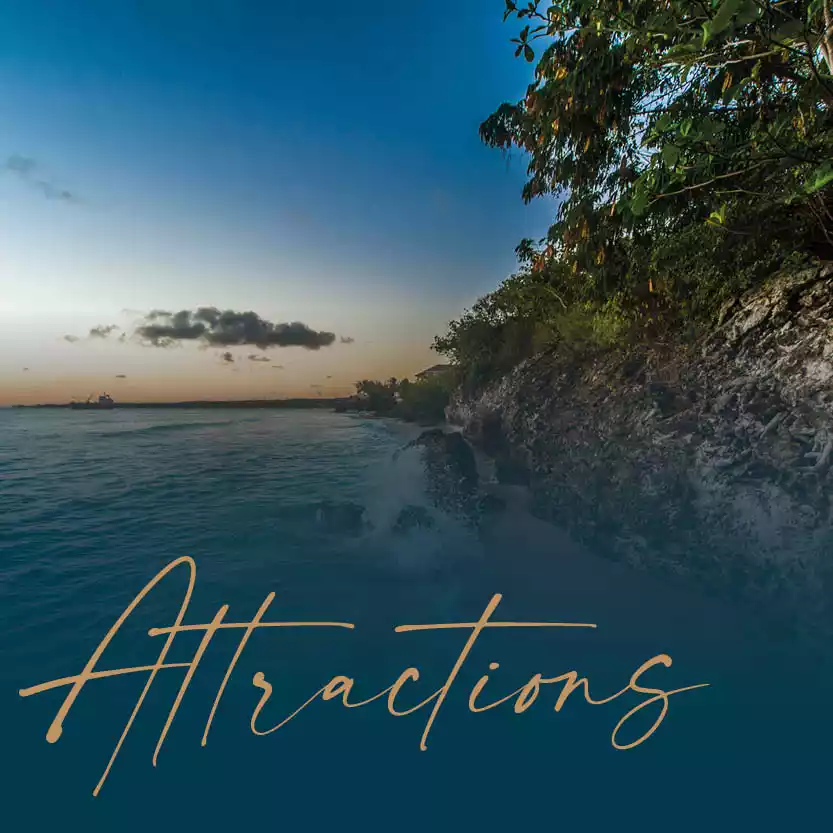 ATTRACTIONS category image