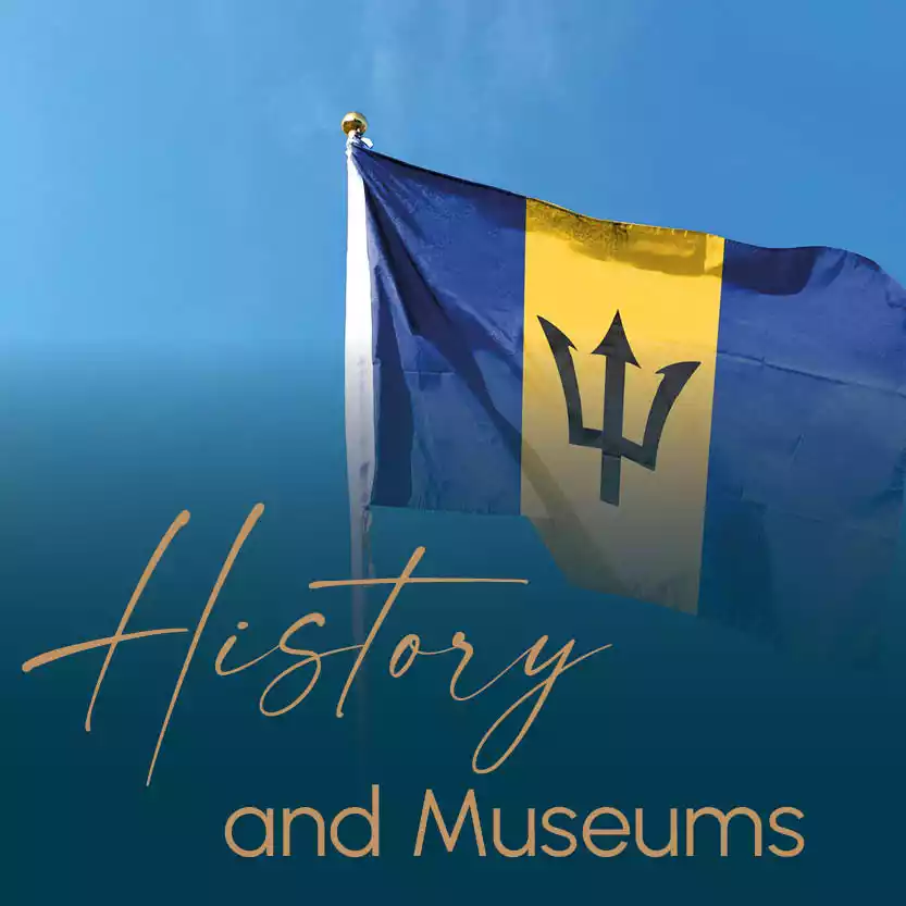 HISTORY AND MUSEUMS category image