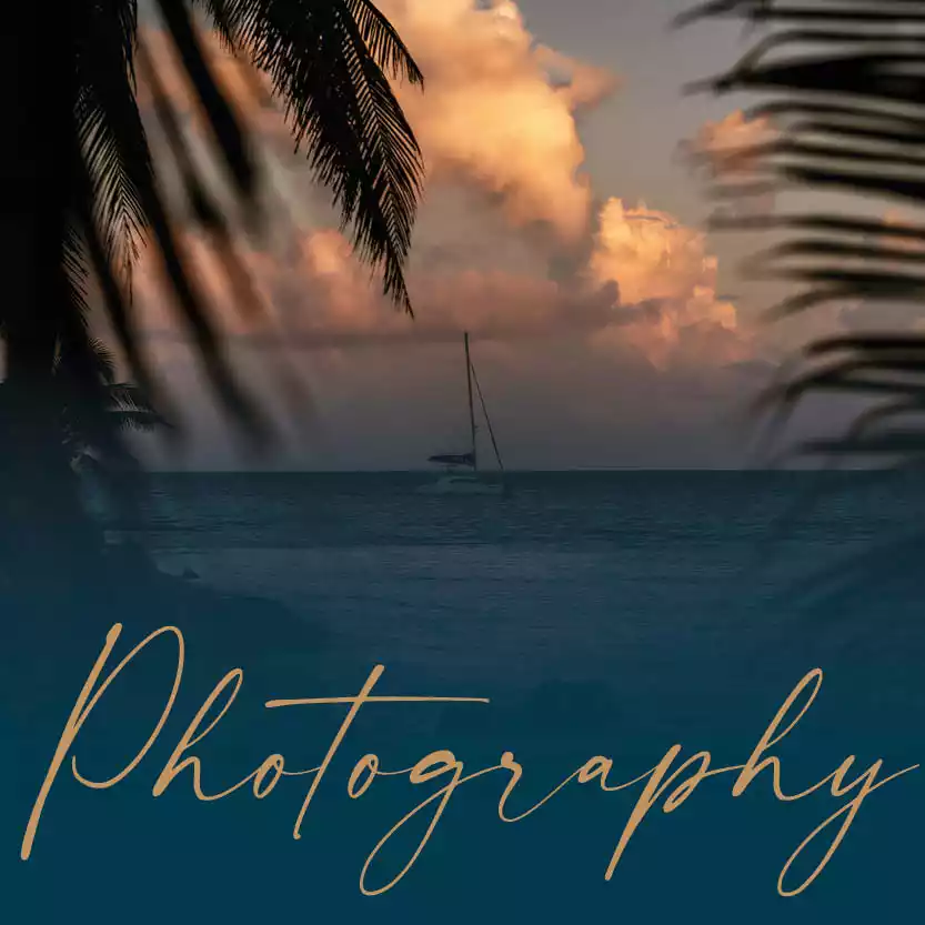 PHOTOGRAPHY category image