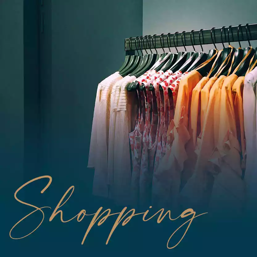 SHOPPING category image