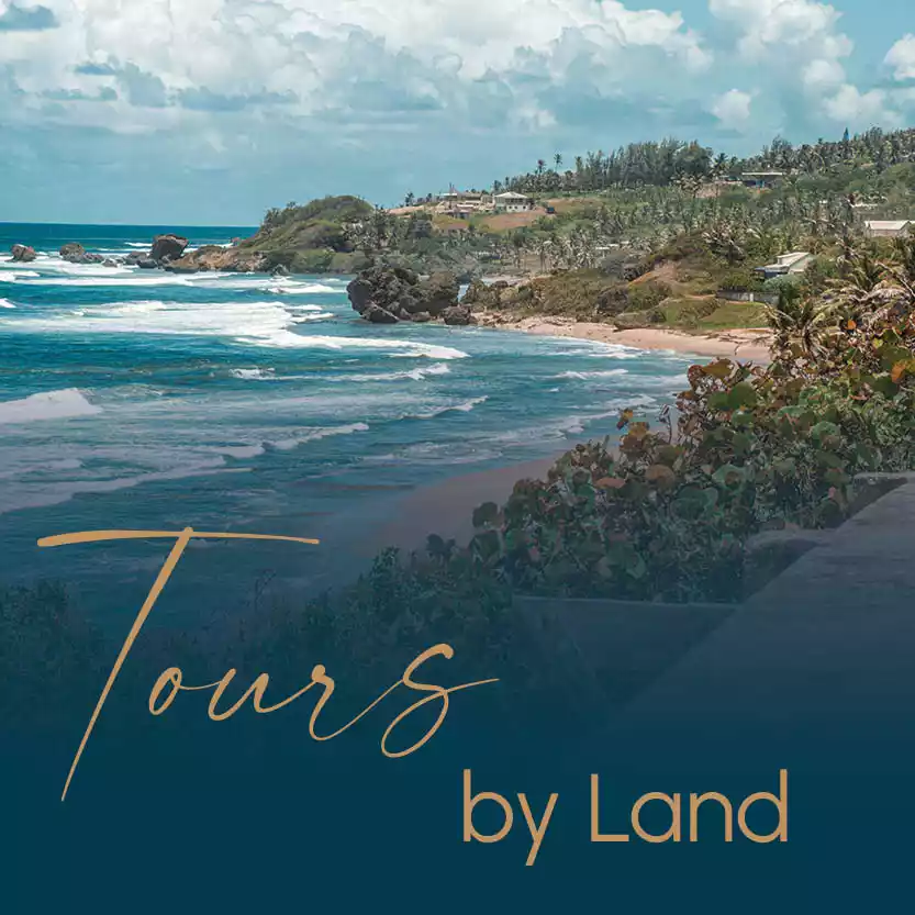 TOURS BY LAND category image