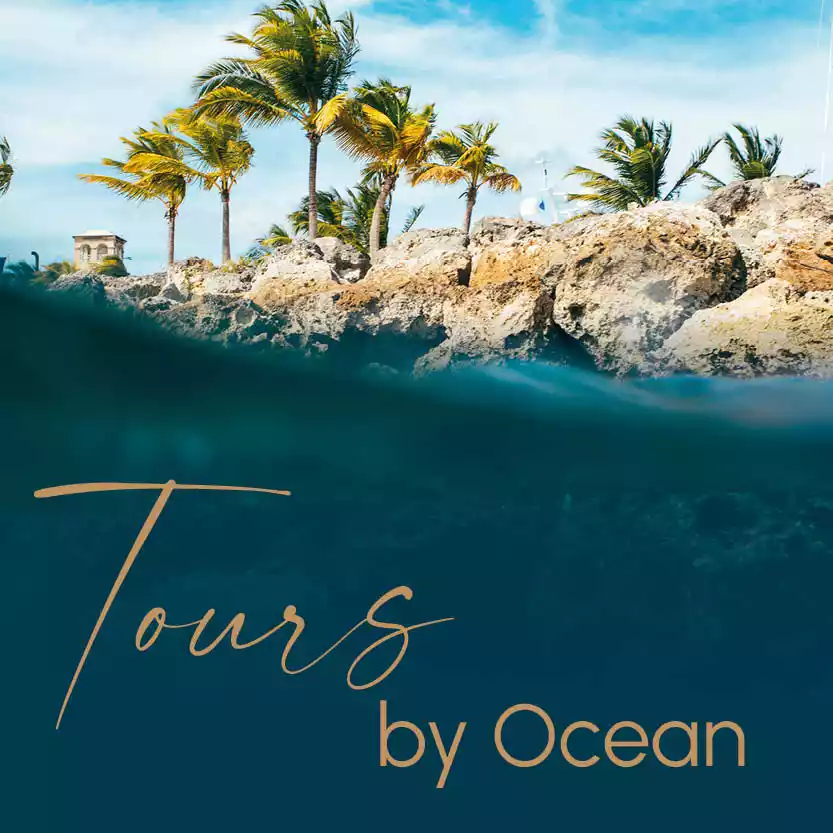 TOURS BY OCEAN category image