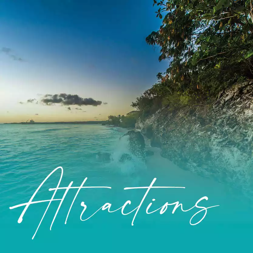 ATTRACTIONS category image