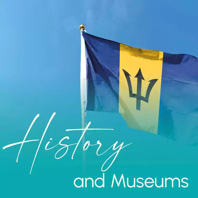HISTORY AND MUSEUMS category image