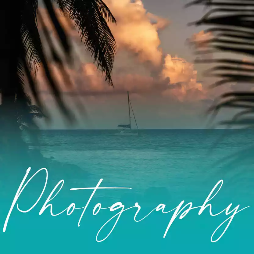 PHOTOGRAPHY category image