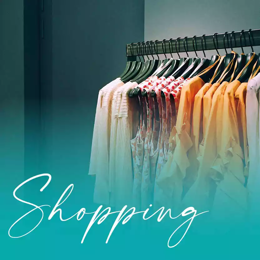 SHOPPING category image