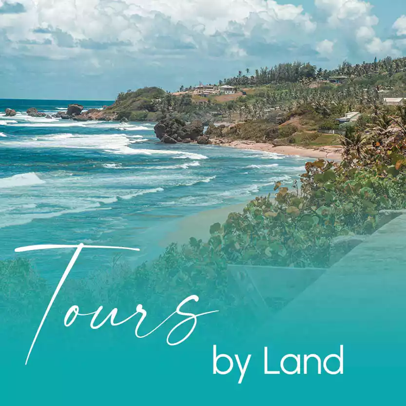 TOURS BY LAND category image