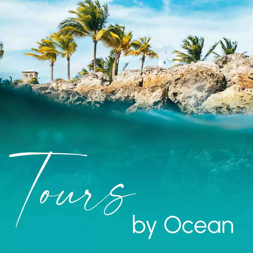 TOURS BY OCEAN category image