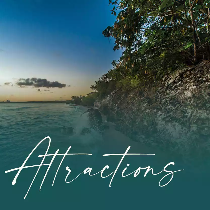ATTRACTIONS category image