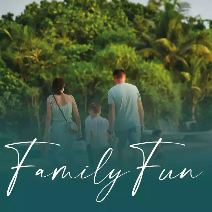 FAMILY FUN category image