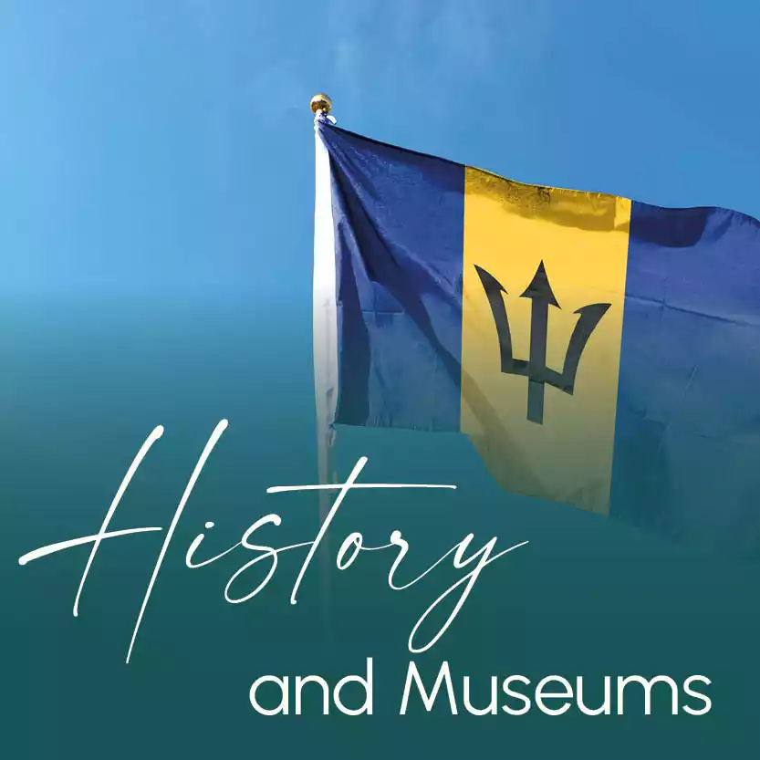 HISTORY AND MUSEUMS category image