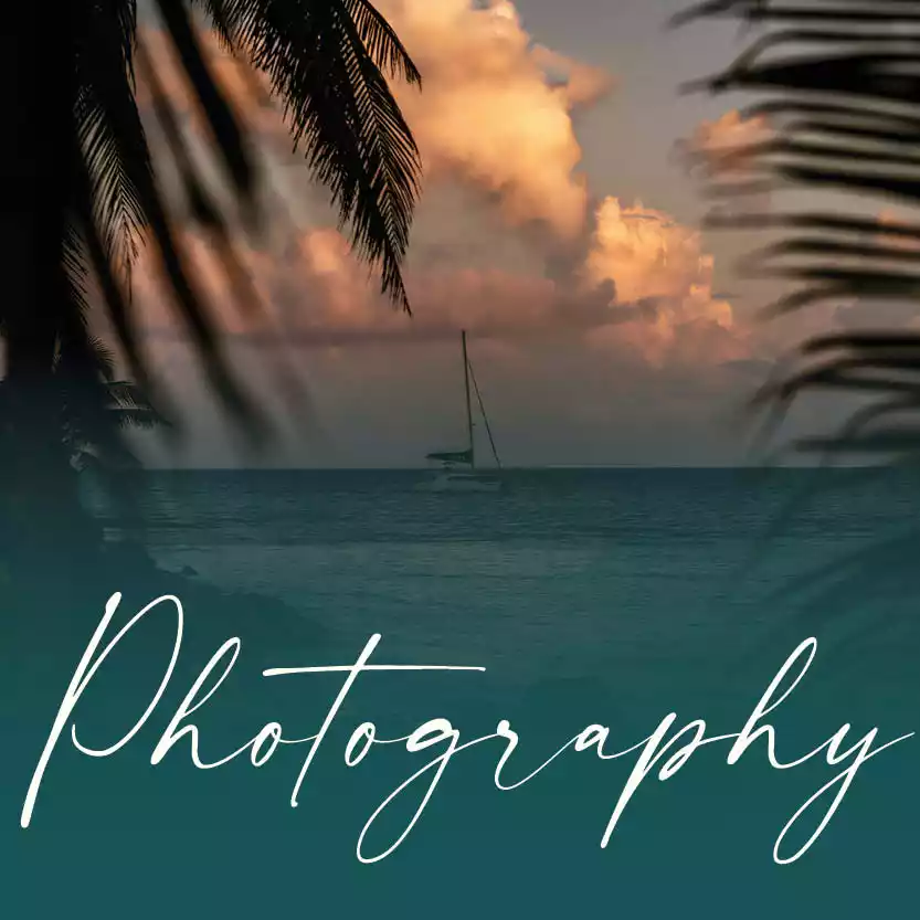 PHOTOGRAPHY category image
