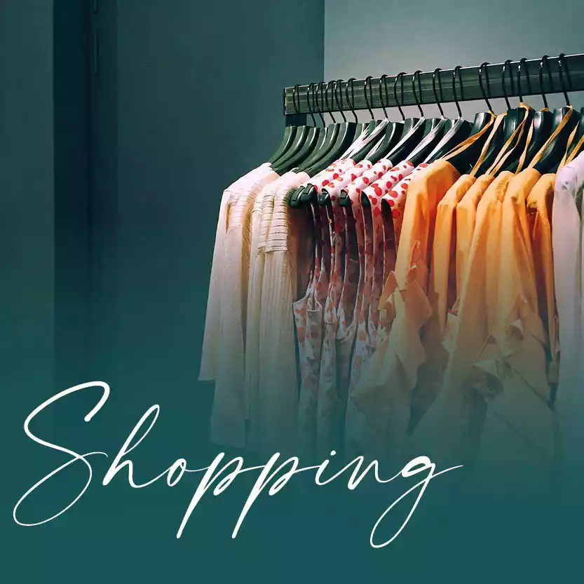 SHOPPING category image