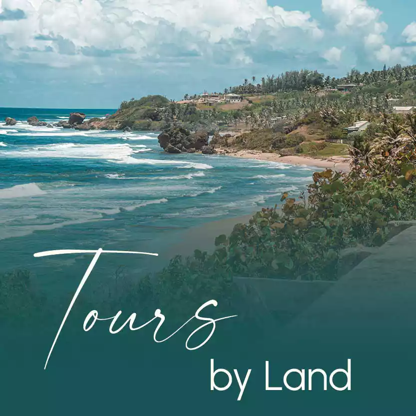 TOURS BY LAND category image