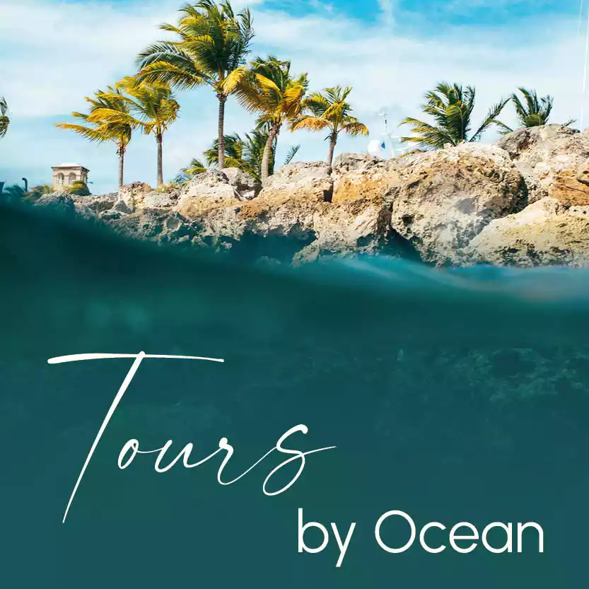TOURS BY OCEAN category image