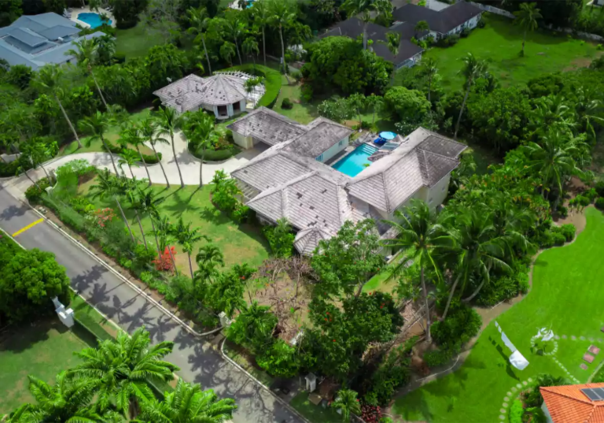 3.webp